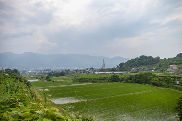 _MG_4563