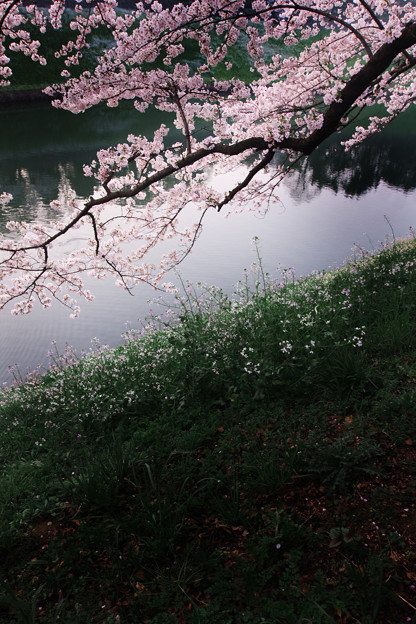 風景美