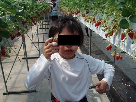(4)ご満悦
