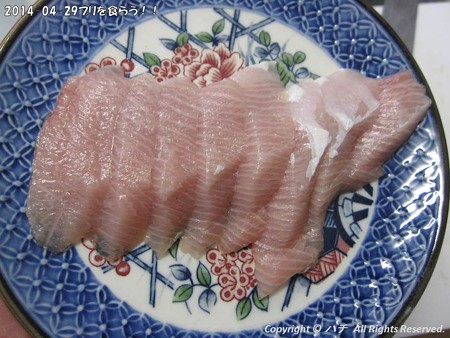 2014-04-29ブリを食らう!! (2)