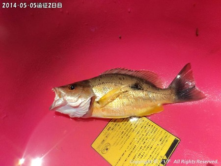 2014‐05‐05遠征2日目 (4)