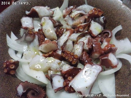 2014-06-14タコ♪ (6)