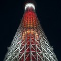 スカイツリー ナイト