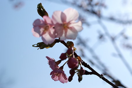 DSCF0313