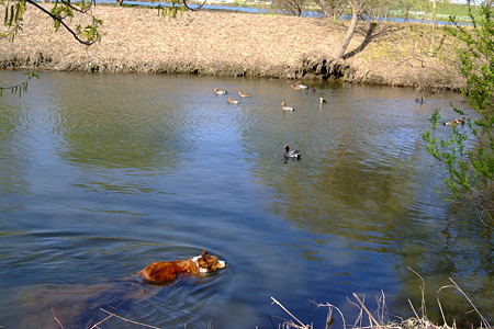 DSCF0571