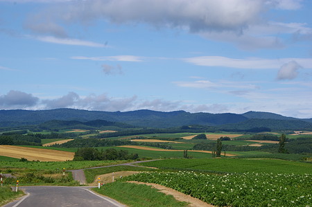 IMGP1490