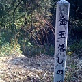 Photos: 金玉落しの谷なう その2