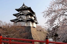 hirosaki_sakura