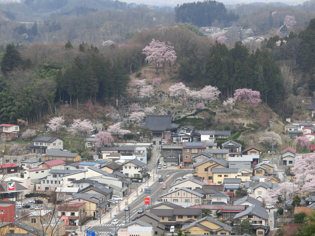 CIMG0410