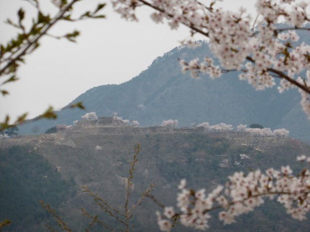 立雲峡から眺めた竹田城