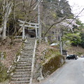 板井原集落　向井神社