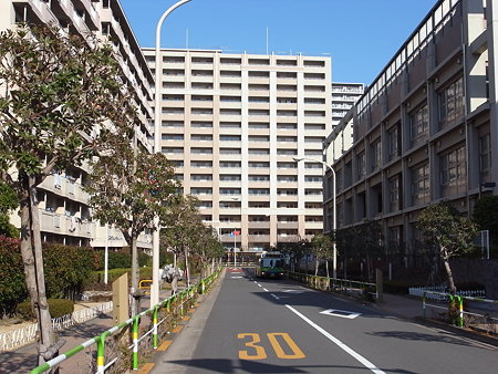 BELISTA都立汐入公園(2009/1)