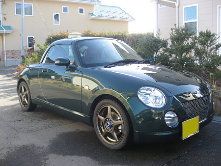 艶々なノコノコ～♪