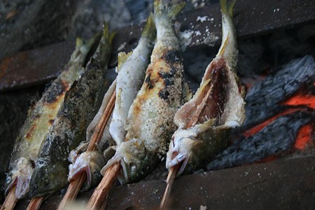 鮎の塩焼き
