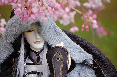 桜 2