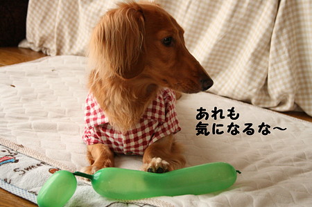 東矢くんの好きな物 6