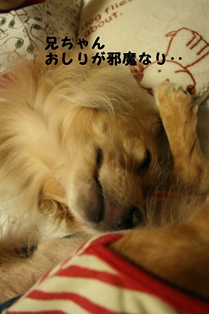 眠れない 3