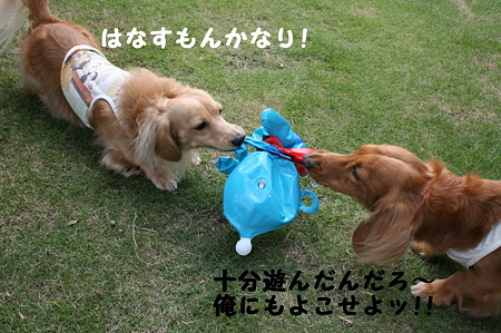 だっこちゃん 8