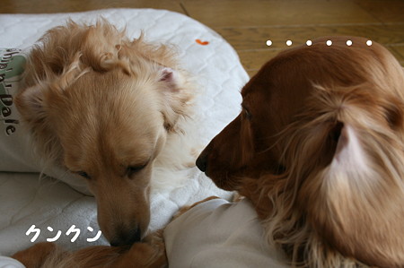 東矢くんと摩耶さん 1