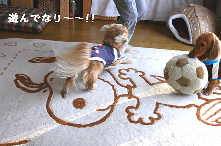 遊んで~ 2