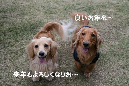 よいお年を~