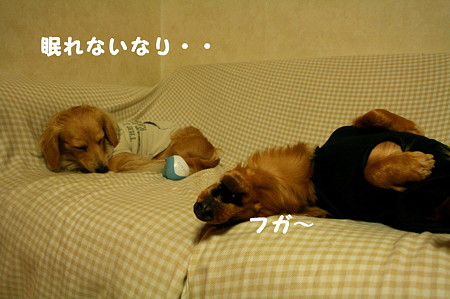 東矢くんと摩耶さん2