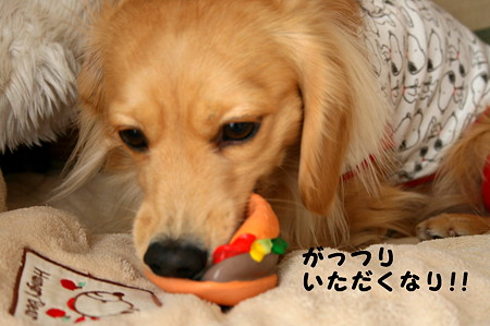 東矢くんと摩耶さん5
