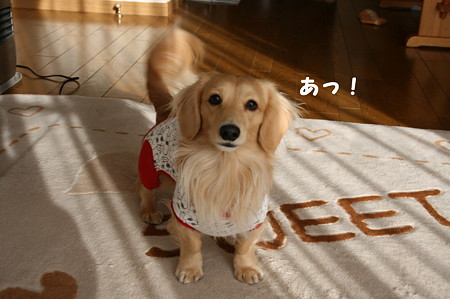 東矢くんと摩耶さん1