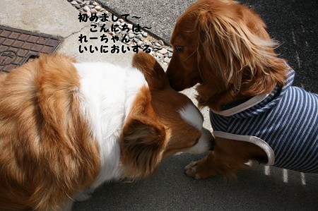 はじめまして~れーちゃん♪