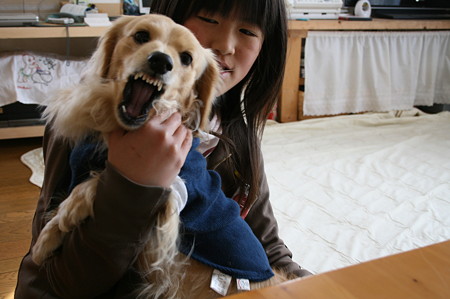 長女と摩耶さん