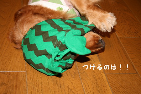 ほっかぶり隊 5