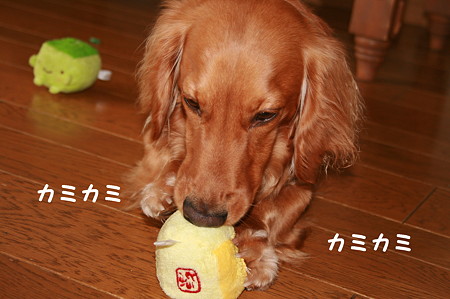 おNEWおもちゃ 5