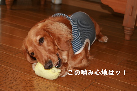 おNEWおもちゃ 2
