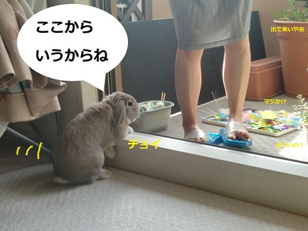 七夕4