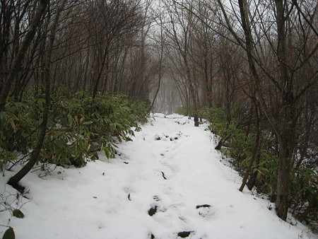 雪に覆われた登山道
