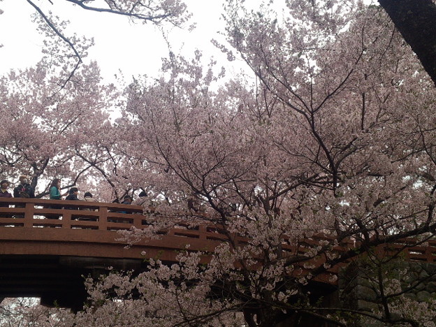 写真: DSC_0655