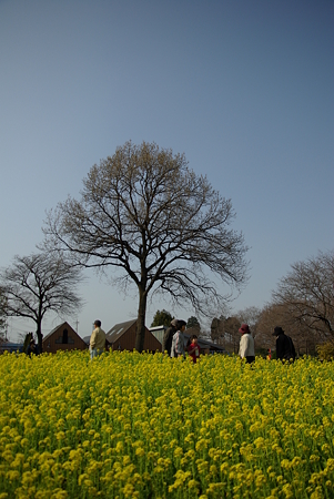 20090321_150256