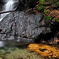 Photos: 落葉の滝